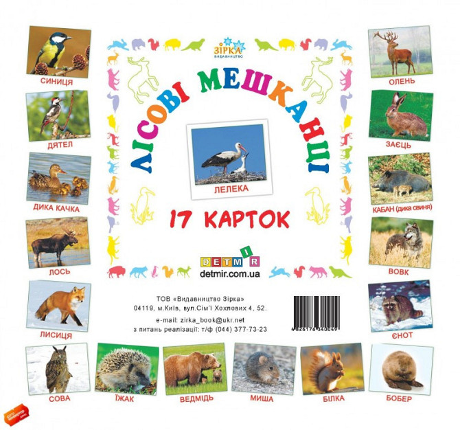 Картки міні Лісові мешканці (110х110 мм)(укр), шт Київ - фото 1