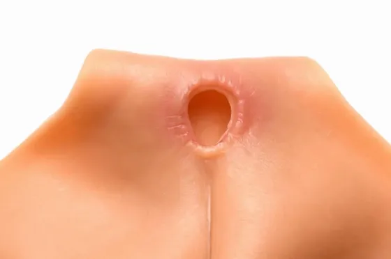 Накладна вагіна Master Series Silicone Vagina + Butt Panties - Large Львів