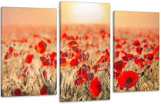 Модульна картина Природа Макі Art-64_3 70x130 см Київ