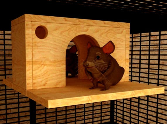 Домик для шиншиллы 