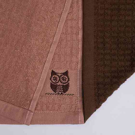 Набор кухонных махровых полотенец 2шт GM Textile 30x50см, 30x50см Совы 400г/м2 (Бежевый/Коричневый) Сумы