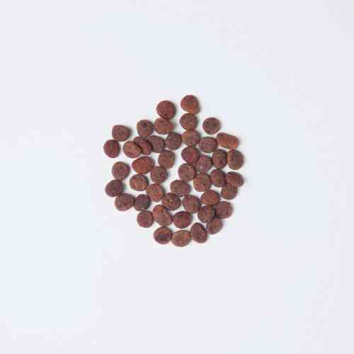 Корм сухий Carnilove True Fresh Cat Fresh Turkey д/дорослих котів індичка 4,8 кг Київ