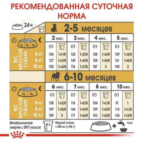 Royal Canin Pug Puppy (Рояв Канін Мопс Паппі) сухий корм для цуценят 1.5 кг. Запоріжжя