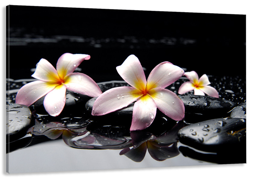 Картина холст в гостиную / спальню Плюмерія    MLP_97 80x120 см Киев - изображение 1