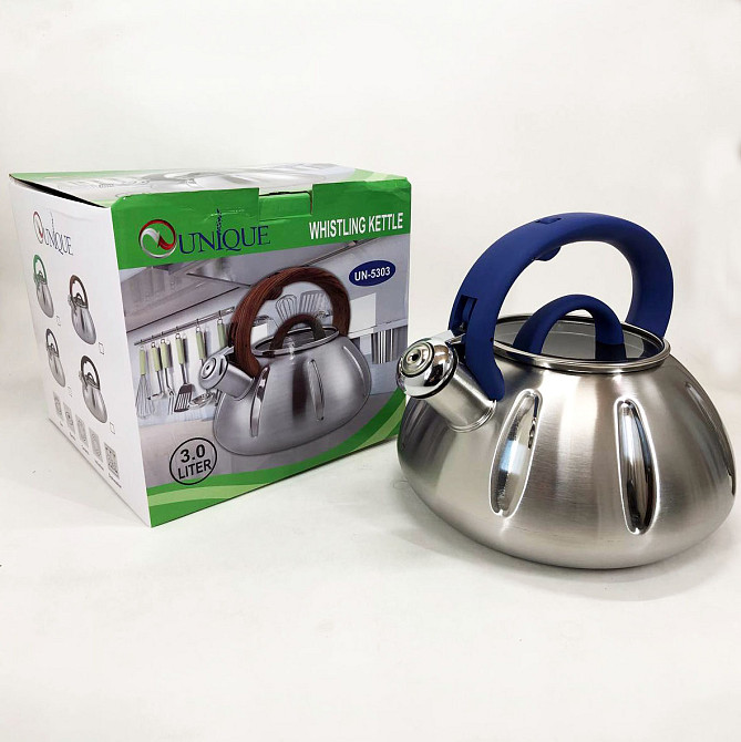 Чайник газовый 3 литра Unique, Чайник со свистком для электрической плиты с эргономичной ручкой GQ-35 Львов - изображение 1