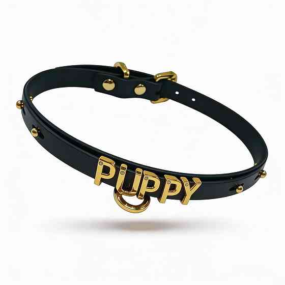 Чокер з написом PUPPY від UPKO з італійської шкіри, чорний із золотою фурнітурою Sex Aura Київ
