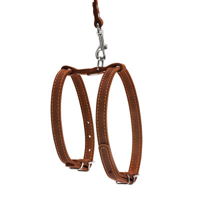 Шлея для собак Collar з повідцем для малих порід Ш 14 мм Д 122 см коричнева (05476) Вінниця - фото 2