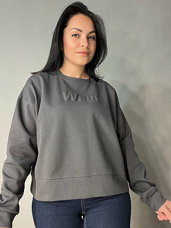 Свитшот женский U S 293 широкий оверсайз трикотаж надпись WANT, графит, one size Киев - изображение 15