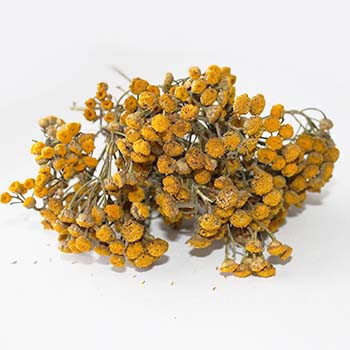 Пижма (подрібнене), 1кг. MasterSEM Киев - изображение 1