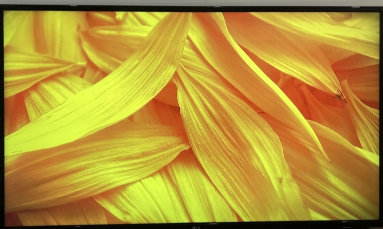 Телевизор LG 49