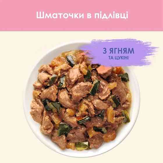 Вологий корм CAT CHOW Kitten для кошенят, шматочки у підливці, з ягням та цукіні, 85 г Київ