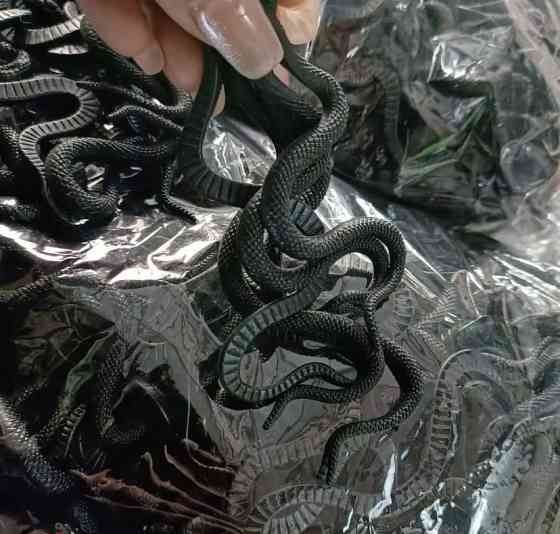 Іграшка змія резинова чорного кольору Декор на Хеллоуїн чудова прикраса хеллоуін розмір скручений 10 розмір прямий 17 см Київ