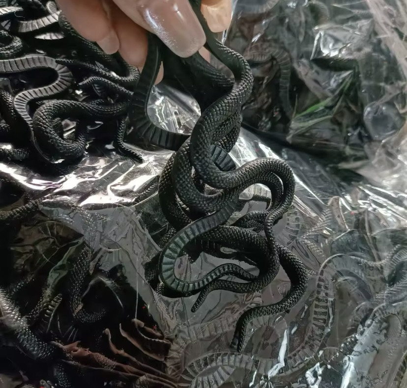 Іграшка змія резинова чорного кольору Декор на Хеллоуїн чудова прикраса хеллоуін розмір скручений 10 розмір прямий 17 см Київ - фото 6