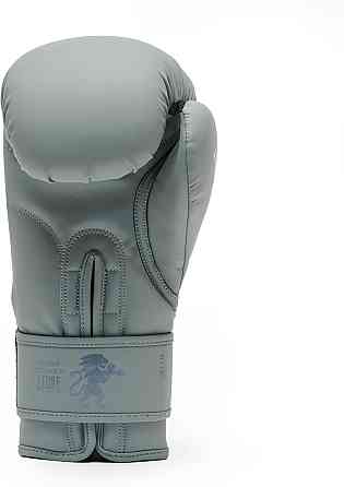 Боксерські рукавиці Leone GN059 STRIKER Grey 10 унцій Кам'янське