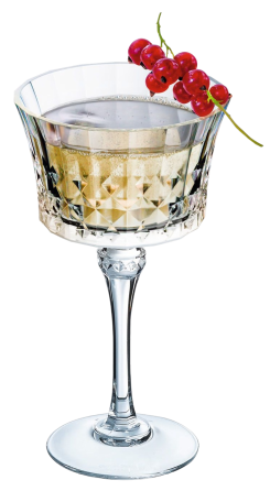 Набор бокалов Cristal d'Arques Paris Lady Diamond, 4х230 мл (7196059) Киев