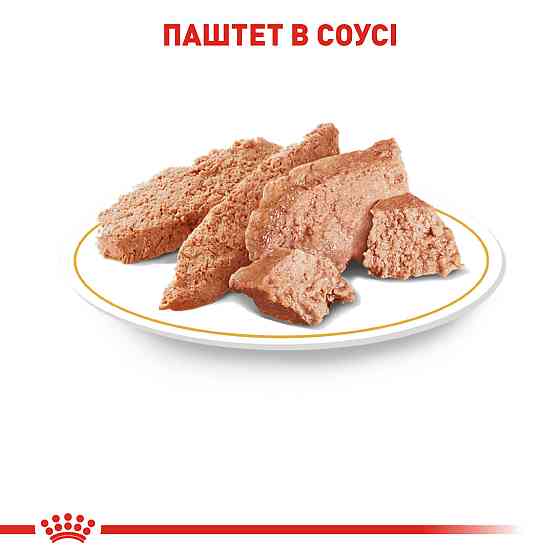 Вологий корм для дорослих собак Йоркшир-тер'єр ROYAL CANIN YORKSHIRE ADULT 0.085 кг Київ