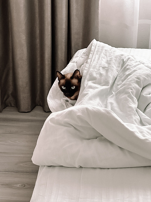 Комплект постільної білизни Ideal Textile страйп сатин ivory двоспальний євро смужка 1 см Чернівці - фото 2