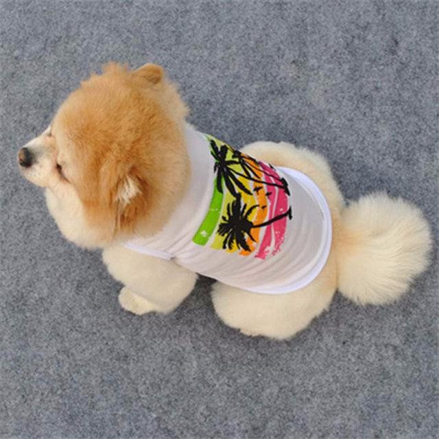 Одежда для собак мелких пород Киев - изображение 2