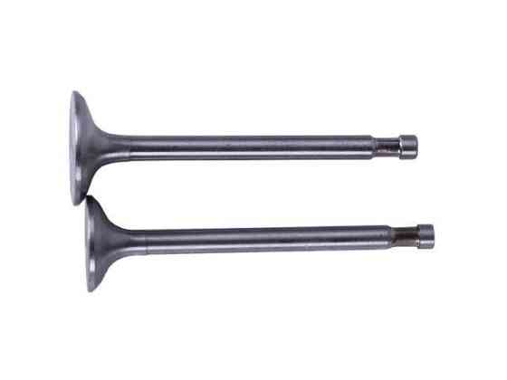 Клапаны на дизельный двигатель 180N, диаметр 7 мм, пара Мукачево