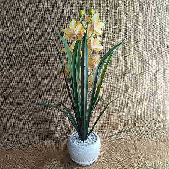 Штучна латексна орхідея цимбідіум у рожевому керамічному кашпо біла з рожевим Дніпро