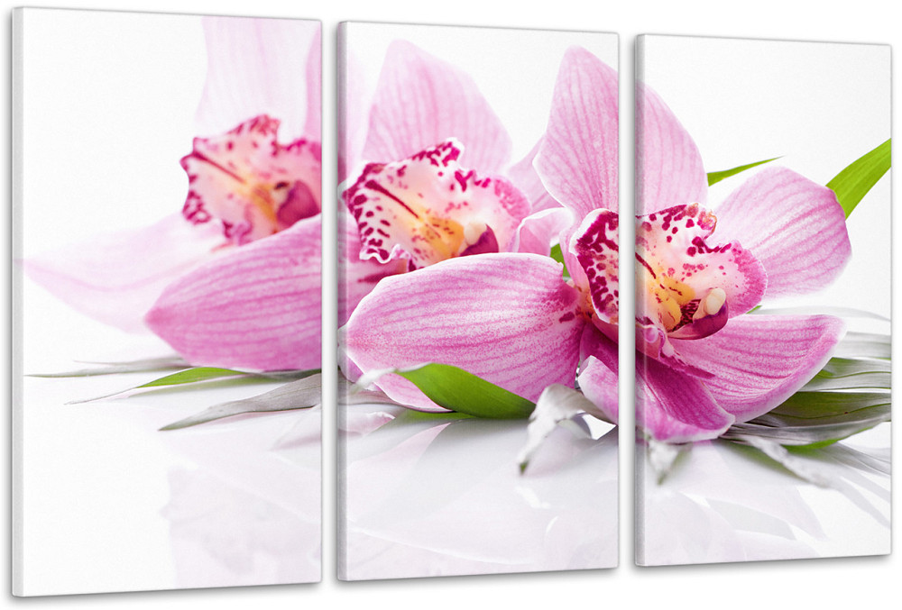 Модульная картина Цветы  Art-61_3А 70x130 см Киев - изображение 1