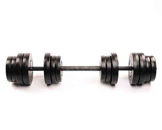 Гантели Elitum 2х31 кг с удлинителем грифа для штанги, наборные, для дома и зала Киев