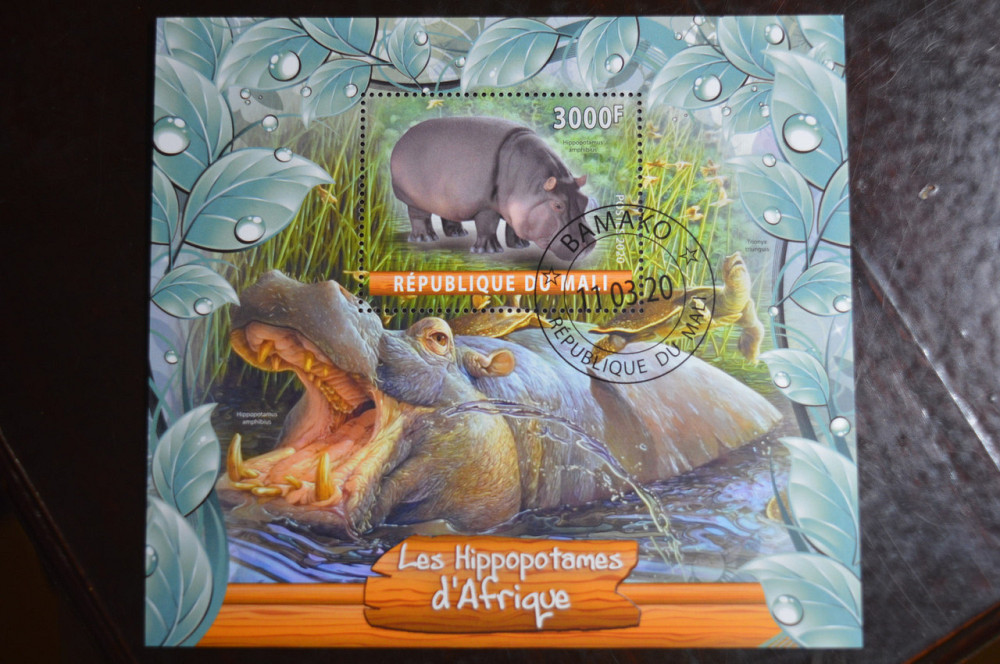 Мали. Марки. Фауна. Блок. 2020 год (В-1) Полтава - изображение 1