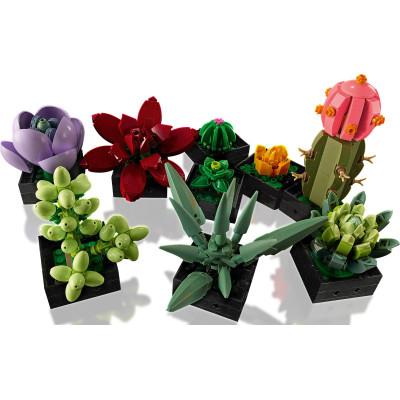 Конструктор LEGO Botanicals Суккуленты (10309-) Винница - изображение 11