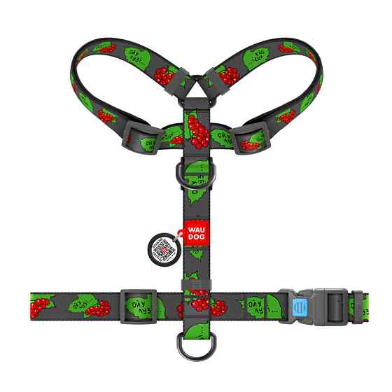 Шлея для собак анатомічна H-подібна WAUDOG Nylon з QR-паспортом, матеріал нейлон, малюнок "Кали Коломыя