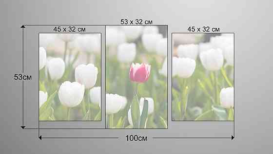 Модульна картина Квіти Тюльпани (53х100см) Art-134_3 Київ