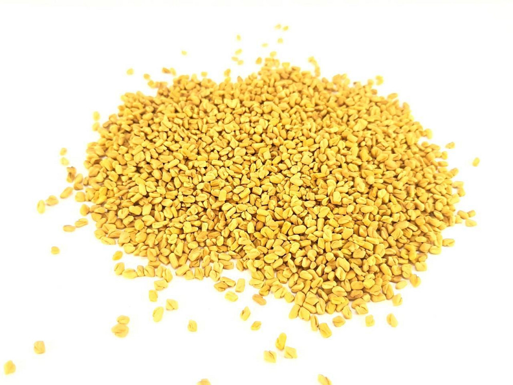 100г.,Пажитник Желтый чай пажитника (семена), 100г. MasterSEM Киев - изображение 1