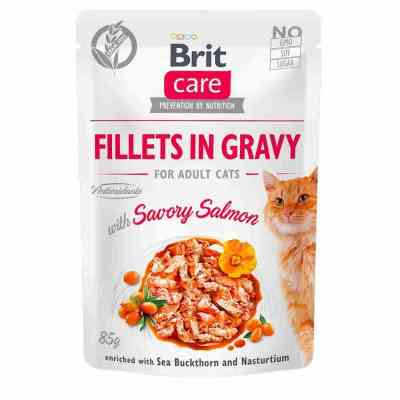 Вологий корм для кішок Brit Care Cat pouch 85 г (пікантний лосось у соусі) (8595602540525) Вінниця