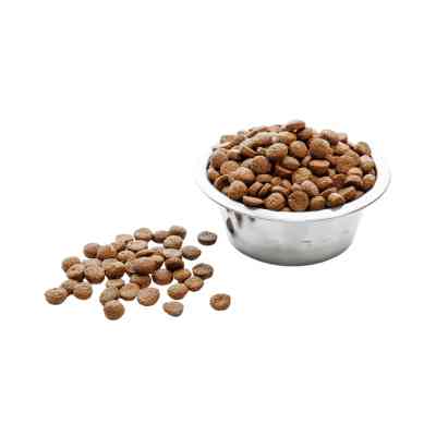 Сухий корм для собак Wise Dog Junior 500 г (4820111141685) Вінниця