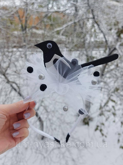 Обруч сороки Сорока Кривий Ріг - фото 2