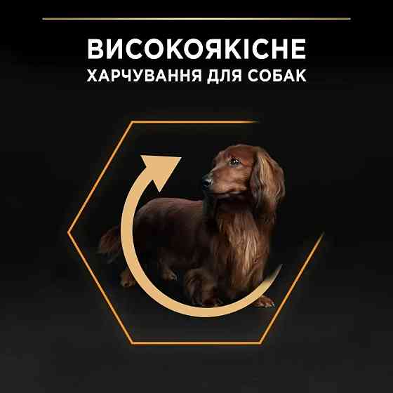 Сухий корм PRO PLAN Small&Mini Adult 1+ Everyday Nutrion для дорослих собак дрібних порід, з куркою, 3 кг Київ