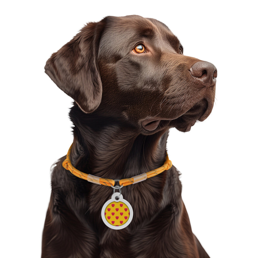 Шнурок из паракорда для адресника WAUDOG Smart ID, световозвращающий, размер М, диаметр 4 мм, длина 42-76 см, золотой Киев - изображение 4