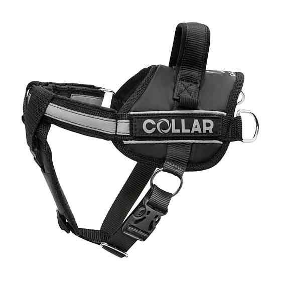 Шлея "Dog Extreme" "POLICE" №2 (В:40-60см), чорний Київ