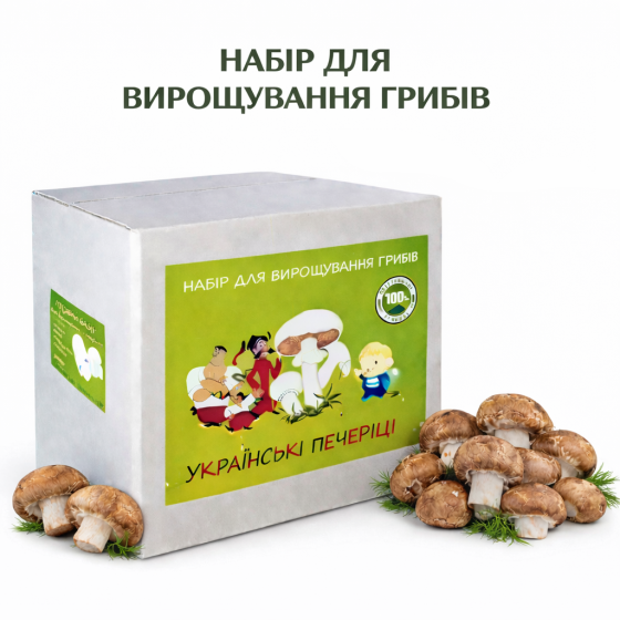 Грибний набір для вирощування королівських печериць готова грибна коробка з засіяним міцелієм печериць Харків