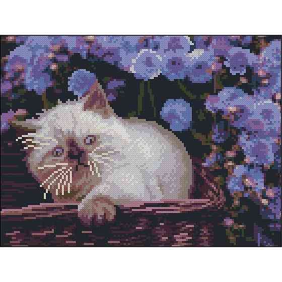 Алмазна мозаїка "Кошеня" ZAV3040-23 без підрамника 30х40 см Вінниця
