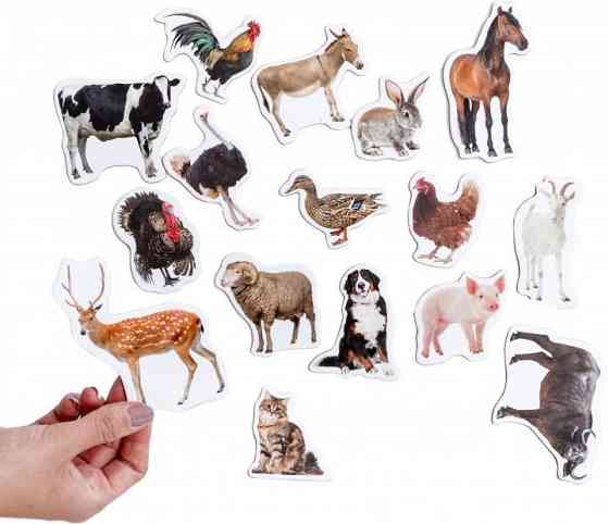 Набор магнитов Magdum 