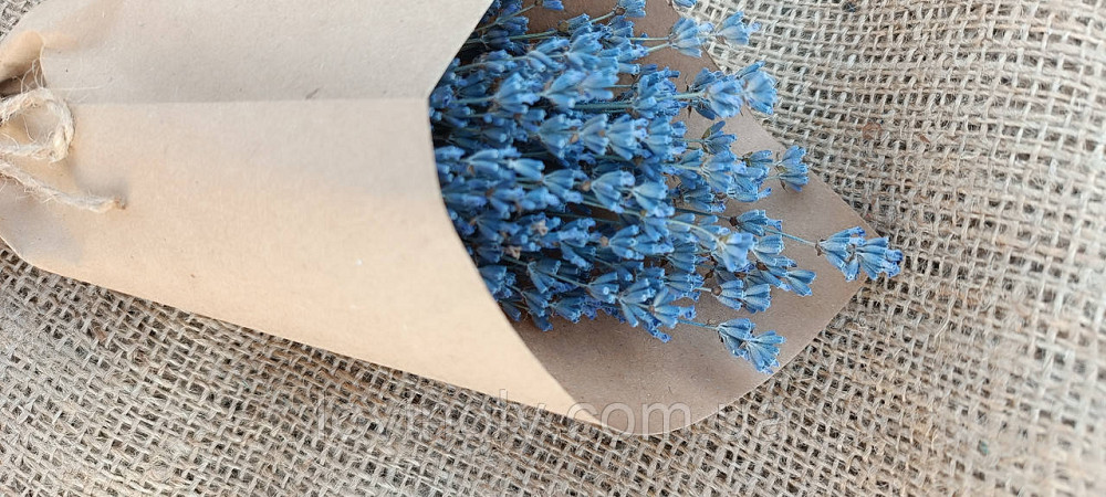 Букетик - комплімент з лаванди. Ірпінь - фото 5