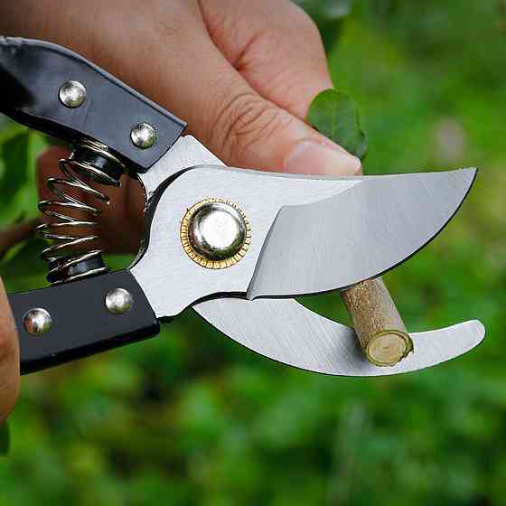 Набір садових інструментів 5в1 (ножиці,секатори,пили) SBR Київ