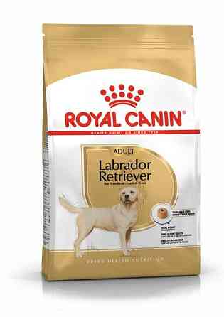 Royal Canin Labrador Retriever Adult (Рояв Канін Лабрадор Ретрівер Едалт) сухий корм для дорослих собак 12 кг. Запоріжжя