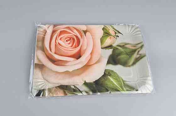 Тарелки праздничные бумажные 15* 22см №10 Чайная роза10шт (1 пачка) Харьков