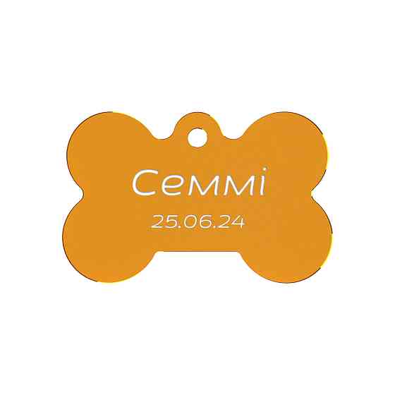 Адресник для собаки Orange 38x25мм Київ