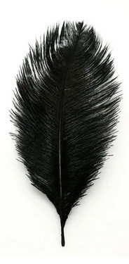 Пір'я для декору рукоділля 10 шт чорні Київ - фото 1
