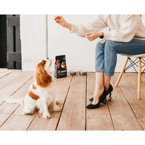 Корм сухий Savory Puppy rich in Fresh Turkey and Chicken для цуценят всіх порід зі свіжою індичкою і куркою 3 кг Київ - фото 5