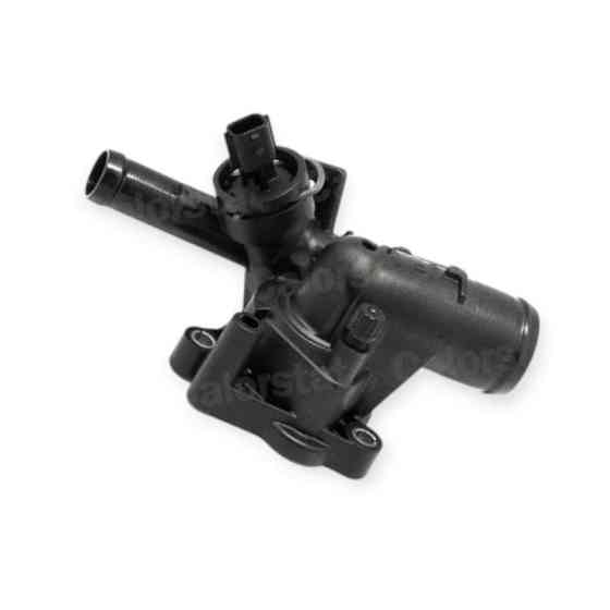 Термостат Megane III, Scenic III 2.0dCi (2009-) Renault Мукачево