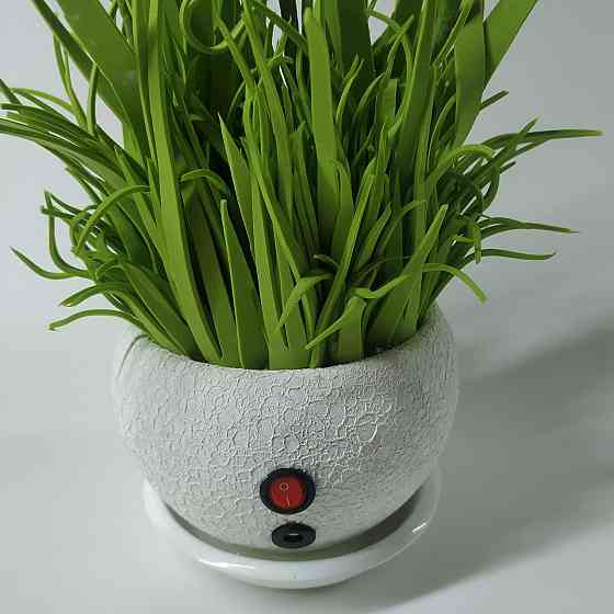 Світильник-нічник_Білі крокуси Дніпро