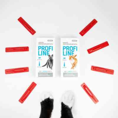Капли для животных ProVET Profiline инсектоакарицид для кошек 4-8 кг 4/1 мл (4823082431106) Винница